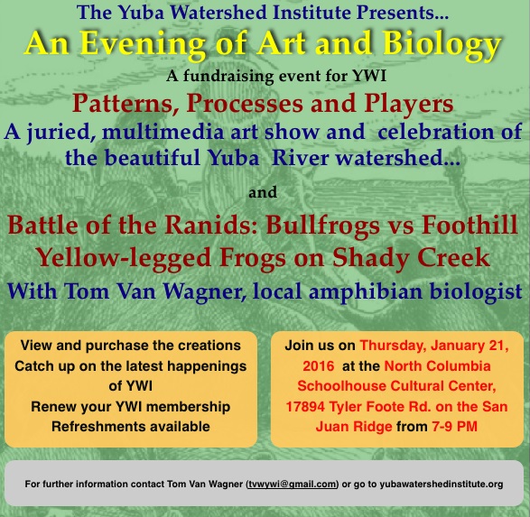 BattleRanids_YWI_NCSCC_Poster_Jan21-2016