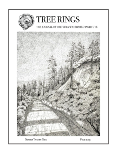 Tree Rings Cover